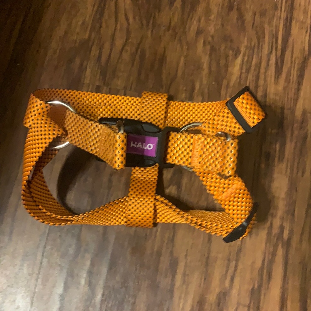 Halo Step-In Dog Harness and Leash Set